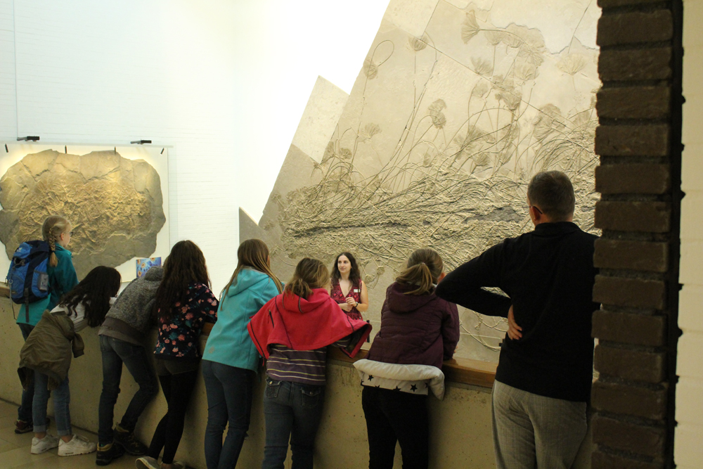 Konzeption und Durchf&Atilde;&frac14;hrung von F&Atilde;&frac14;hrungen im Urweltmuseum Hauff in Holzmaden seit 2014: f&Atilde;&frac14;r verschiedene Besuchergruppen zum Thema "Fossilien des Schwarzjuraschiefers" mit den Schwerpunkten Fossilisation, Pr&Atilde;&curren;paration und Rekonstruktion